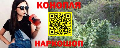 спайс Аргун