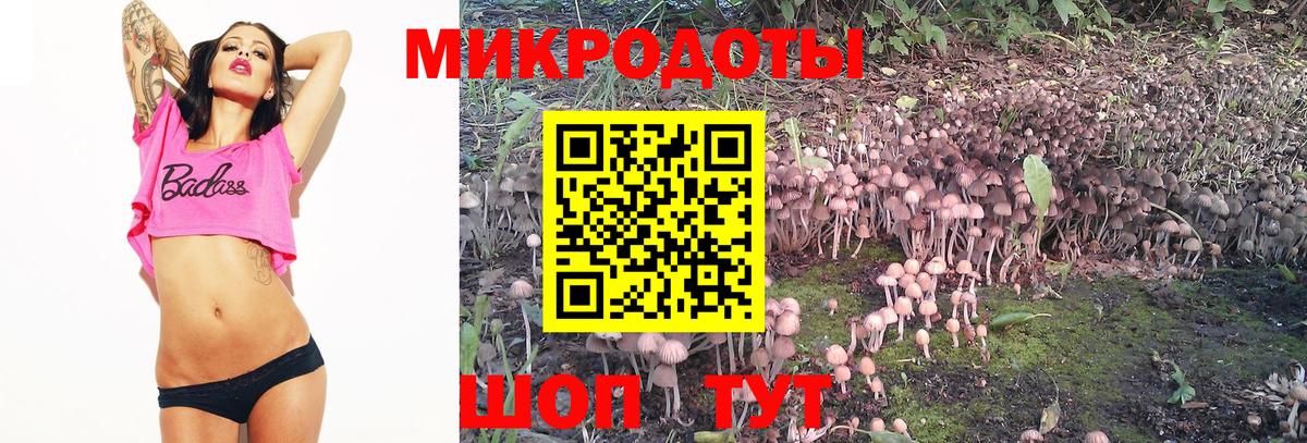 Галлюциногенные грибы прущие грибы  Вход с VPN  Псилоцибиновые грибы MAGIC MUSHROOMS  продажа наркотиков  Аксай 