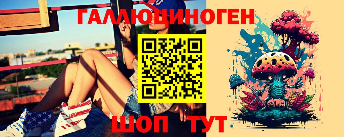 Псилоцибиновые грибы Cubensis  Псилоцибиновые грибы Psilocybine cubensis  Аксай 